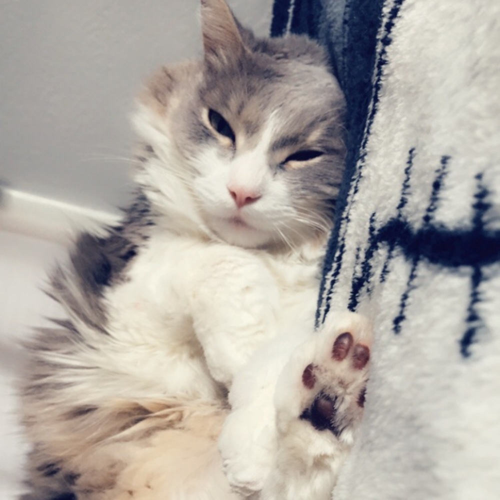 *DISCLAIMER* - Picture 3 of 3